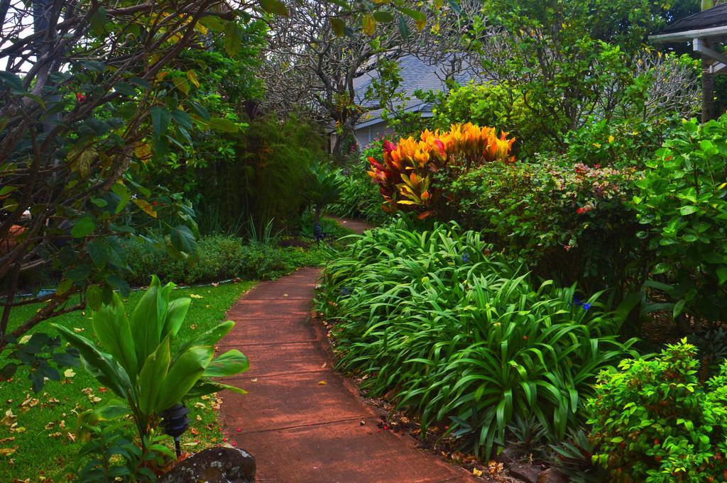 Banyan Tree B&B Retreat Makawao Kültér fotó